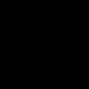 Meet your Posher, Josie